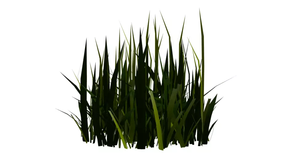 Blender High Poly Realistic Grass Design 3D model_0