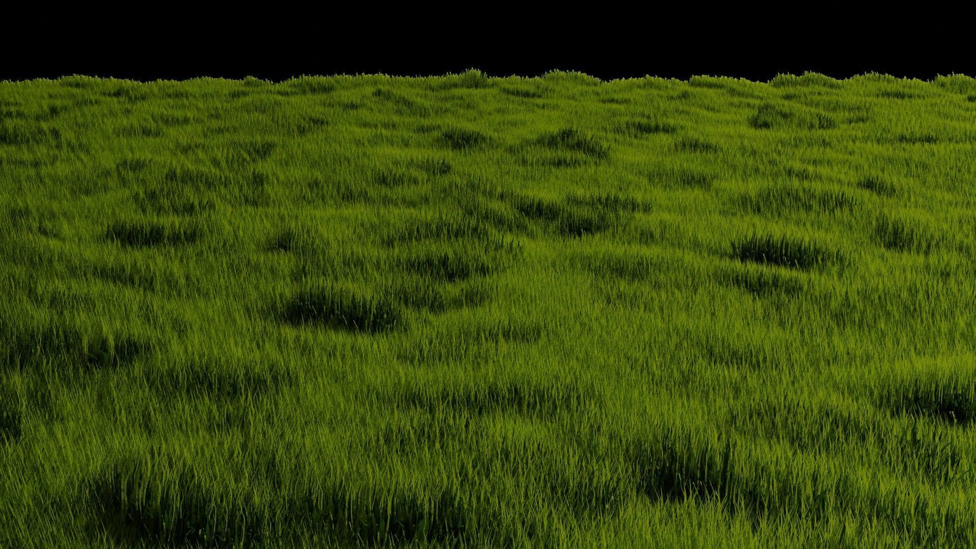 Blender High Poly Realistic Grass Design 3D model_5
