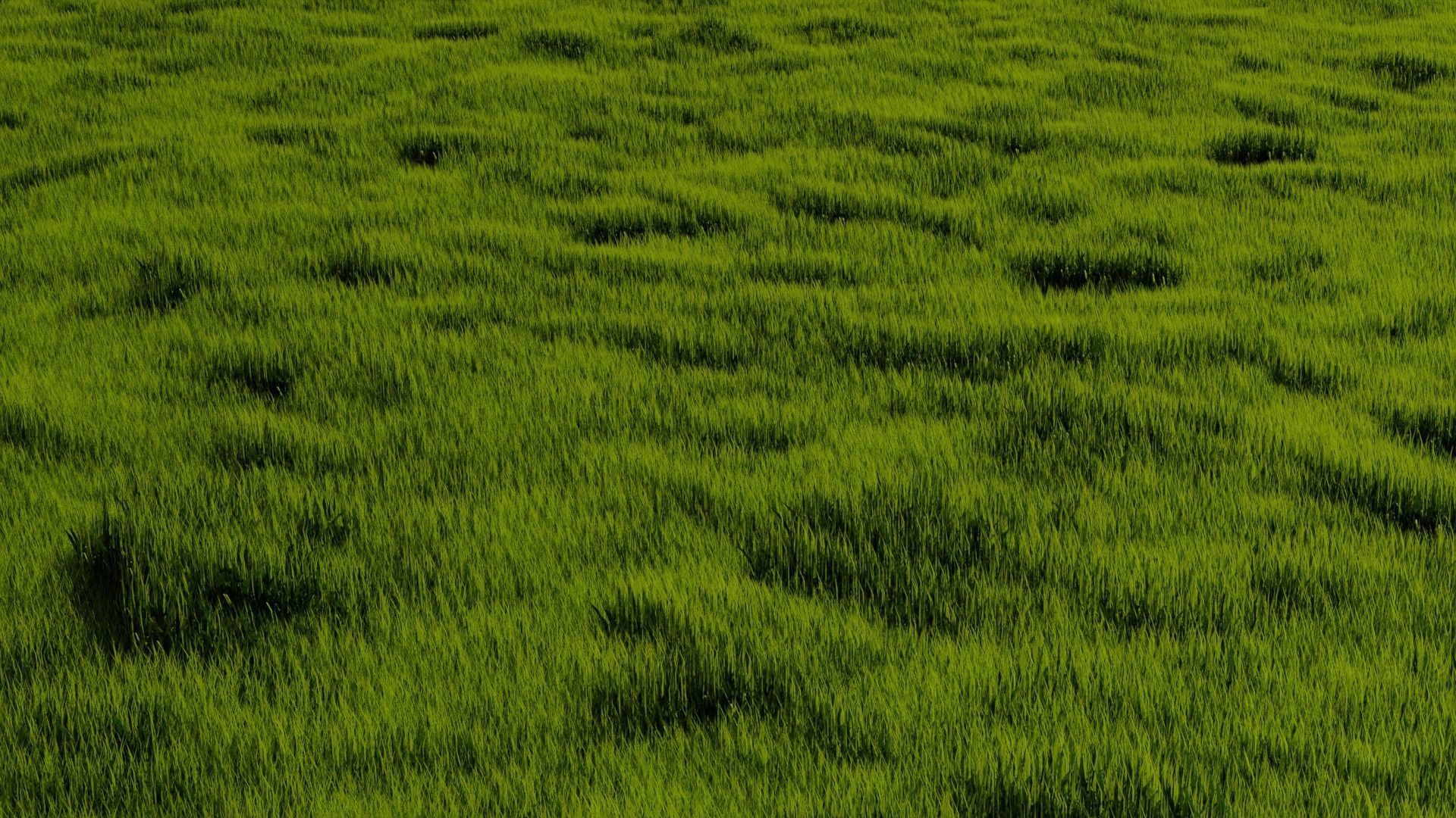 Blender High Poly Realistic Grass Design 3D model_10