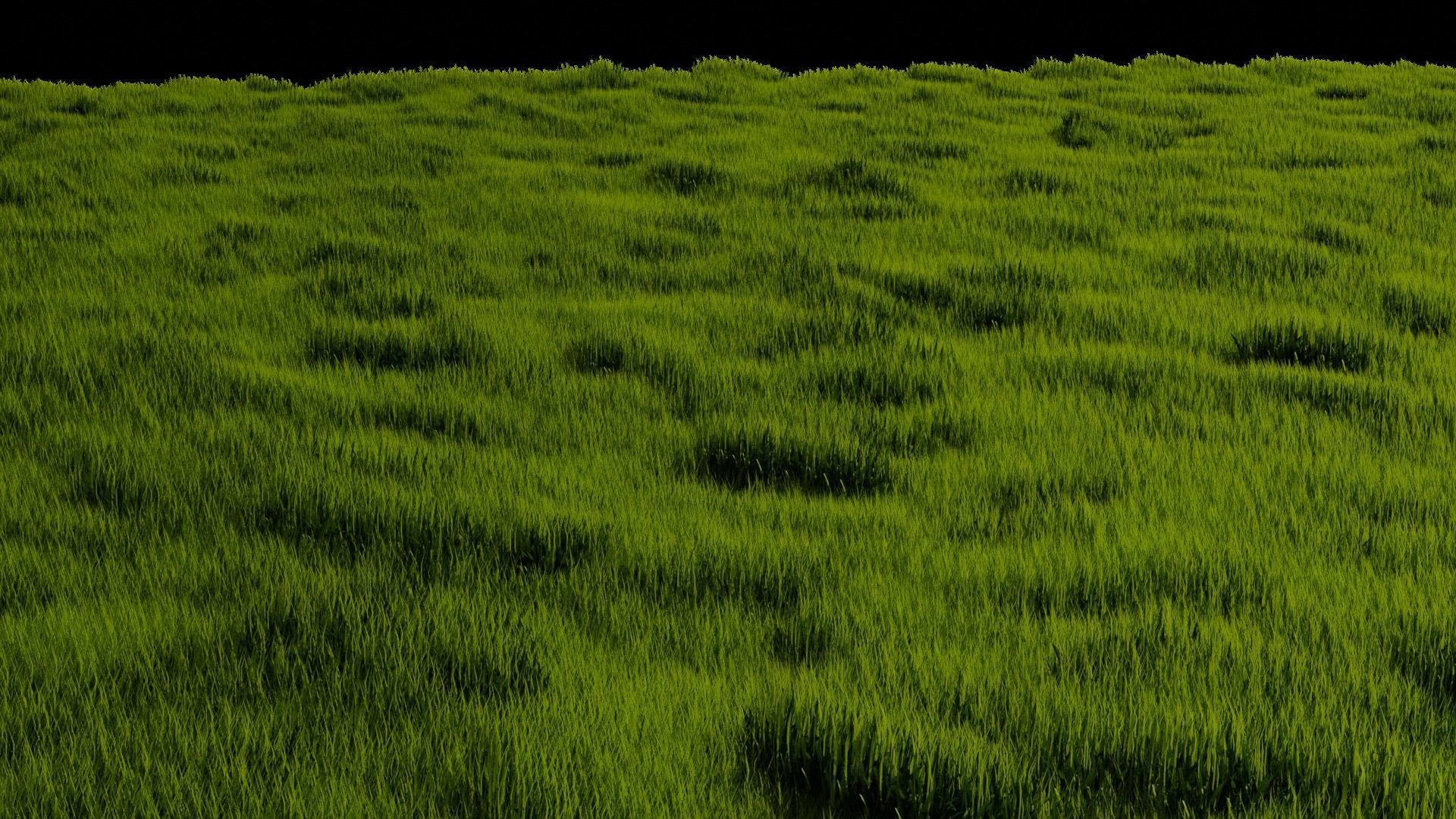 Blender High Poly Realistic Grass Design 3D model_7