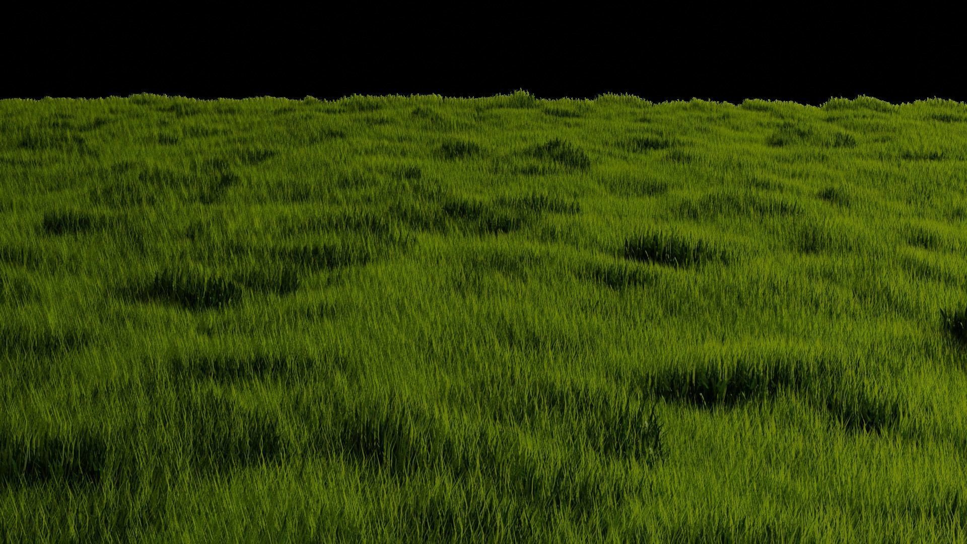 Blender High Poly Realistic Grass Design 3D model_17