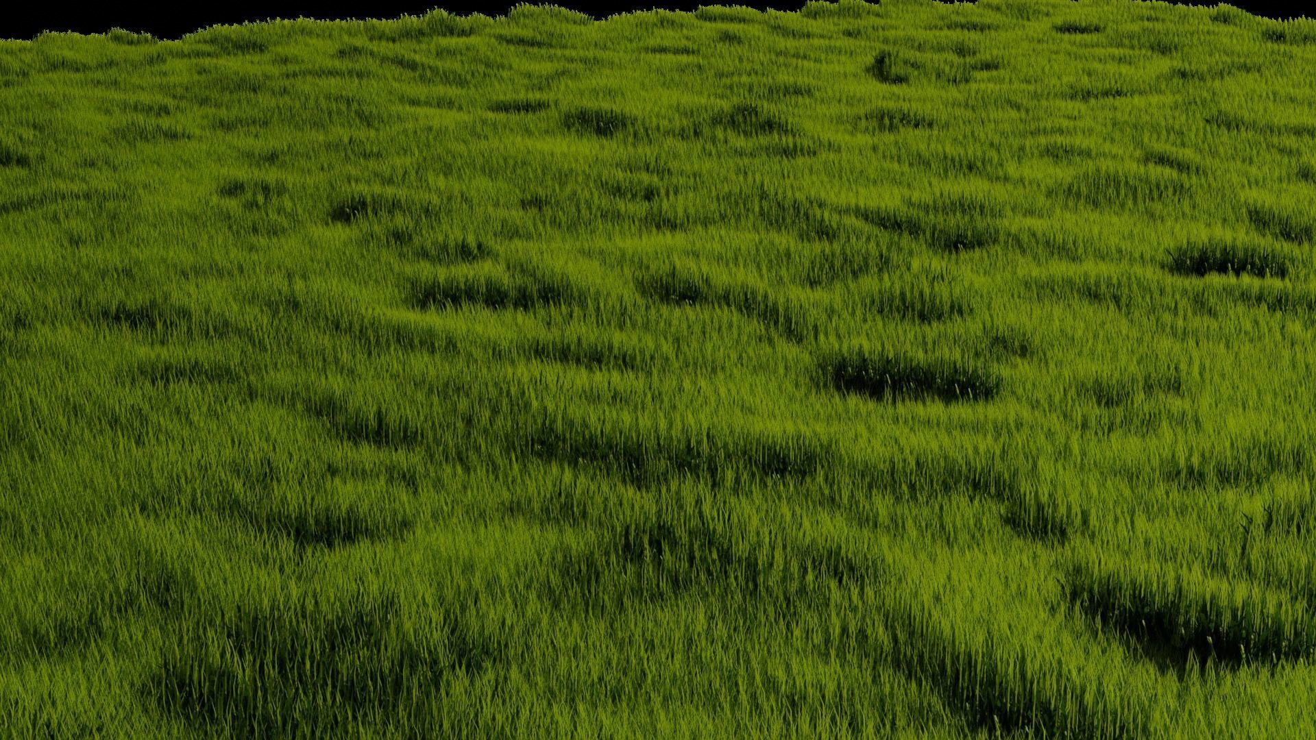 Blender High Poly Realistic Grass Design 3D model_8