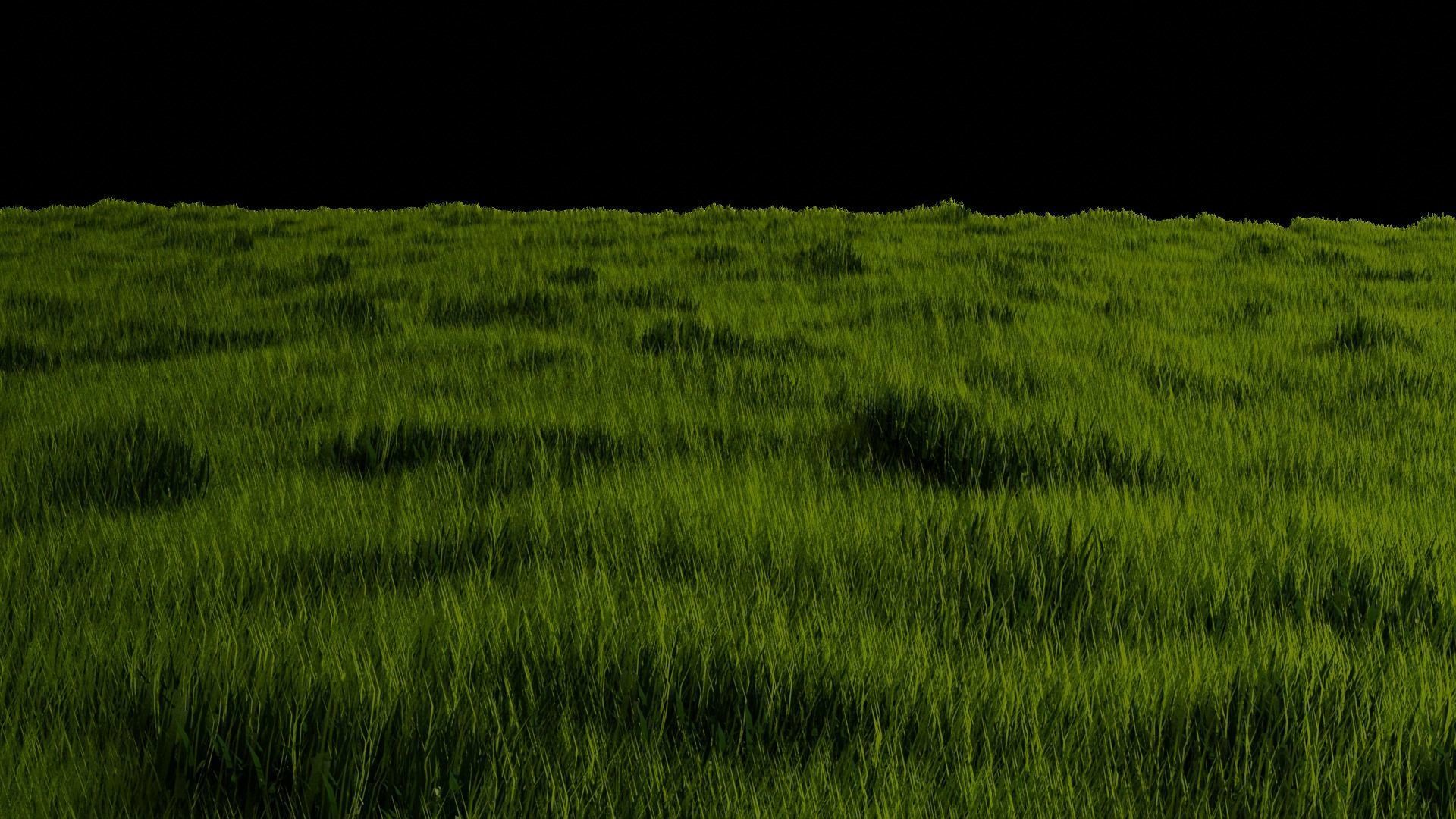 Blender High Poly Realistic Grass Design 3D model_3