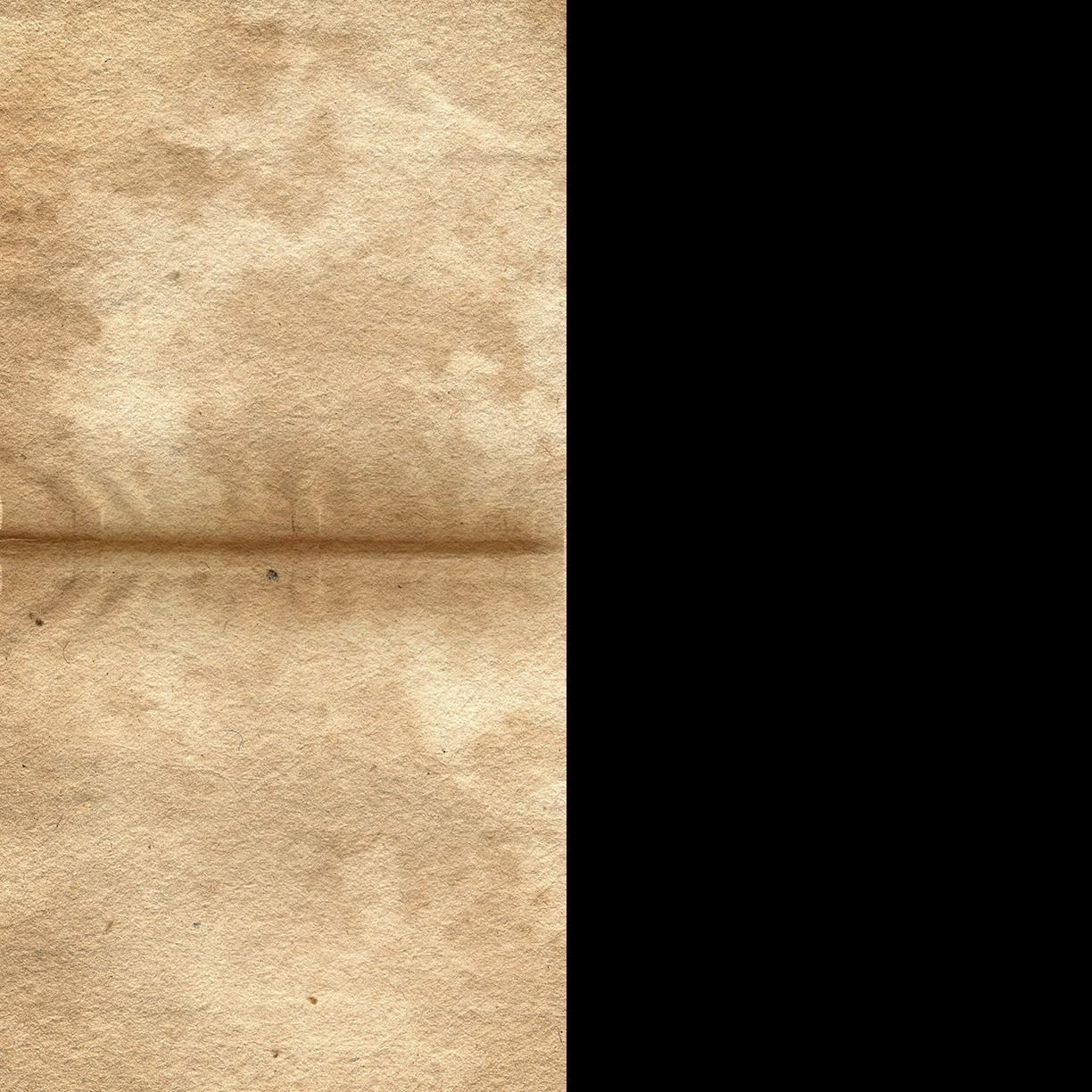 ANIMATED PAPER Low-poly 3D model_11