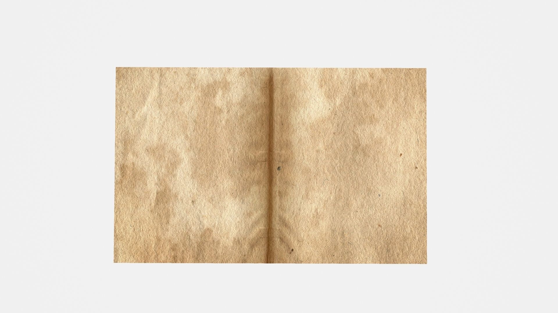 ANIMATED PAPER Low-poly 3D model_5