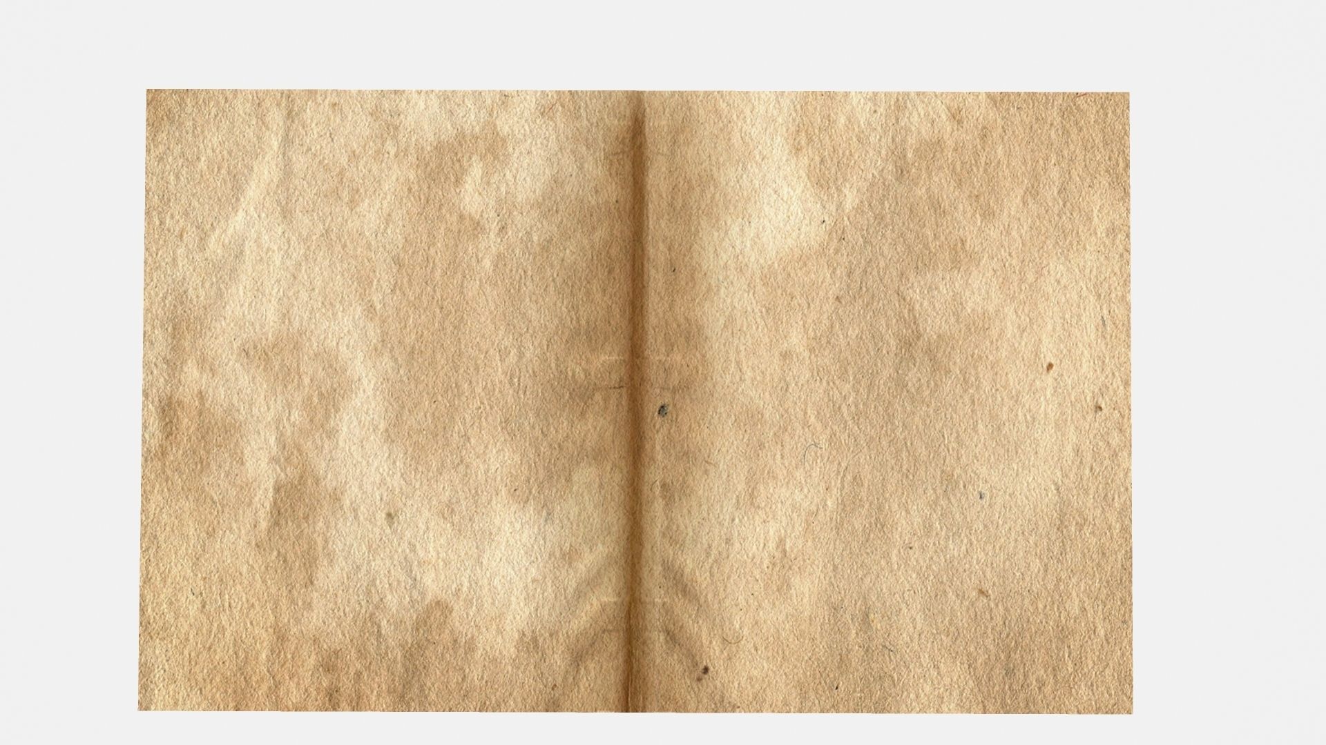 ANIMATED PAPER Low-poly 3D model_7