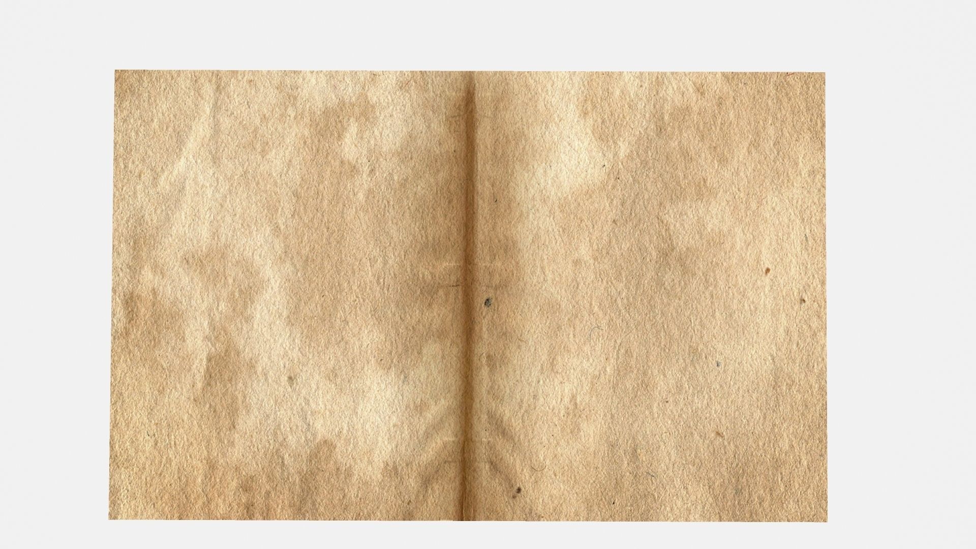 ANIMATED PAPER Low-poly 3D model_8