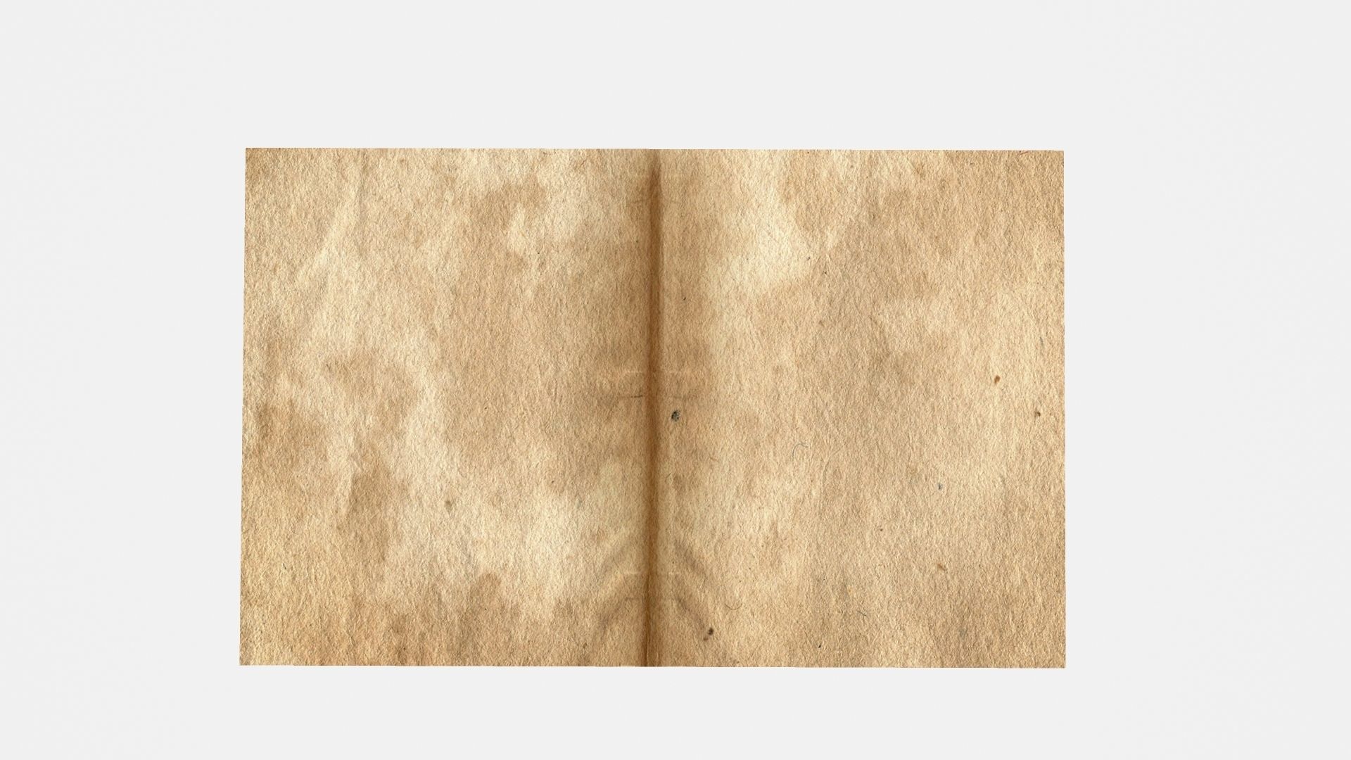 ANIMATED PAPER Low-poly 3D model_6