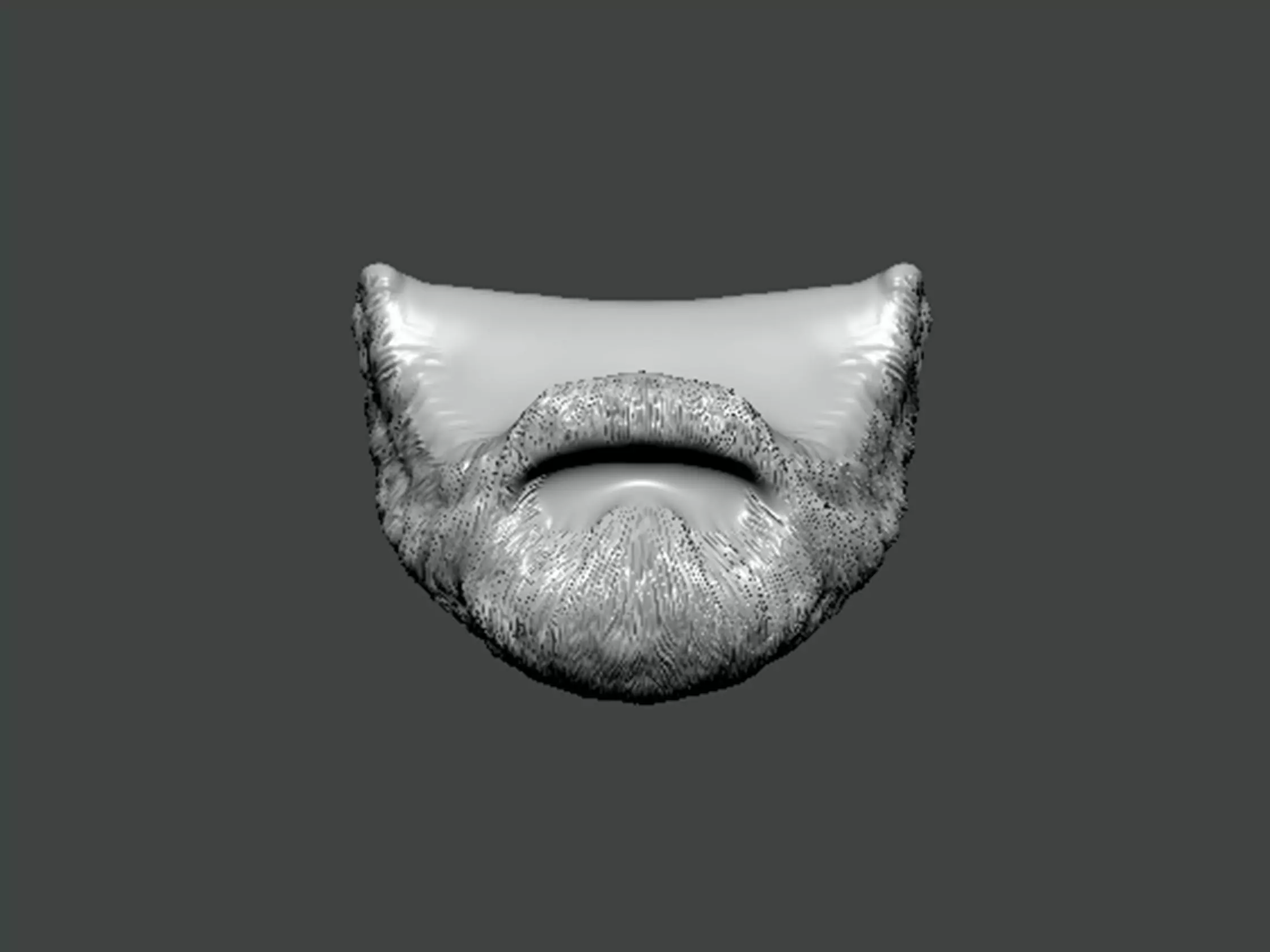 3D Model-BEARD0001 3D print model
