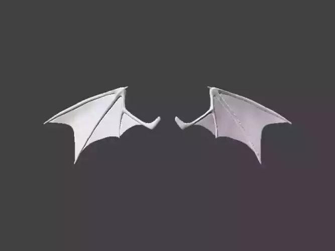 3D Model-WING0001 pair of bat wings 3D print model