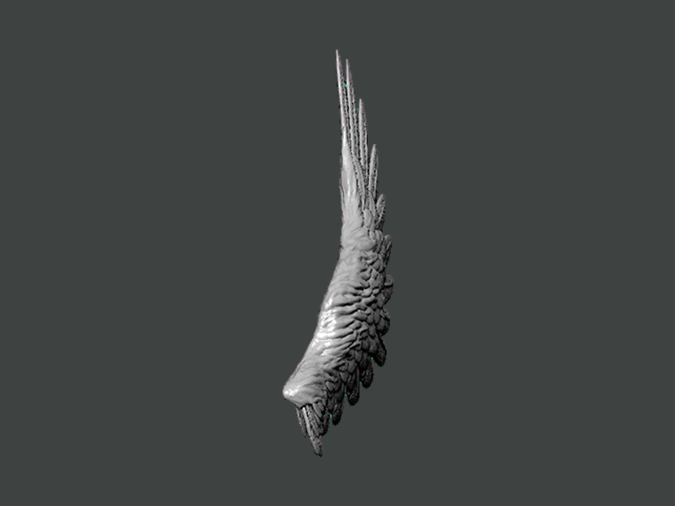 3D Model-WING0006 angel wing 3D print model_2