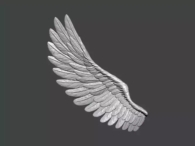 3D Model-WING0006 angel wing 3D print model