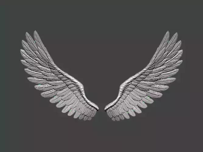 3D Model-WING0007 pair of silver wings 3D print model