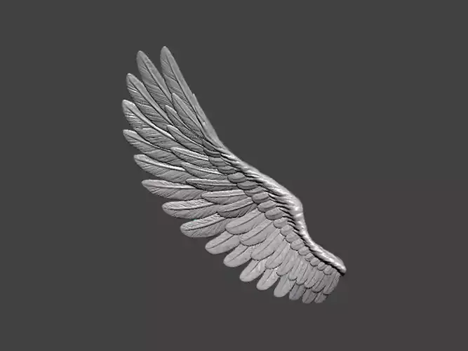 3D Model-WING0008 angel wing