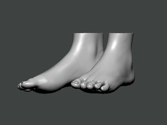 3D Model-FOOT0001 foot 3D print model