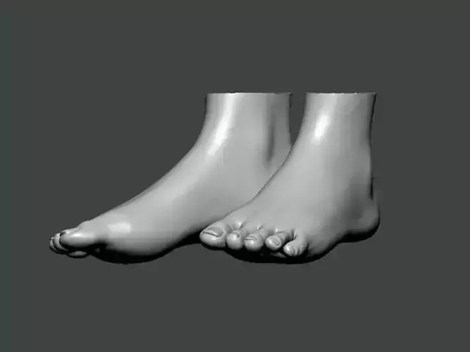 3D Model-FOOT0001 foot