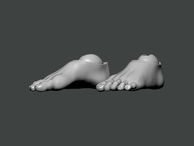 3D Model-FOOT0002 foot 3D print model