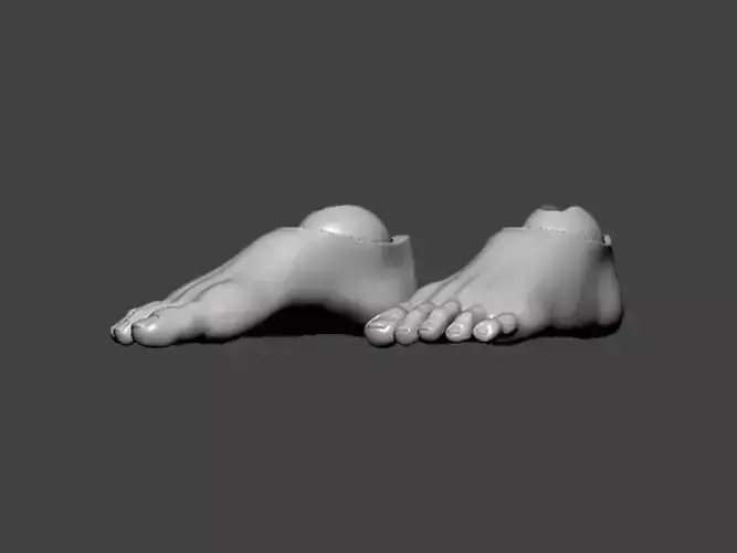3D Model-FOOT0002 foot