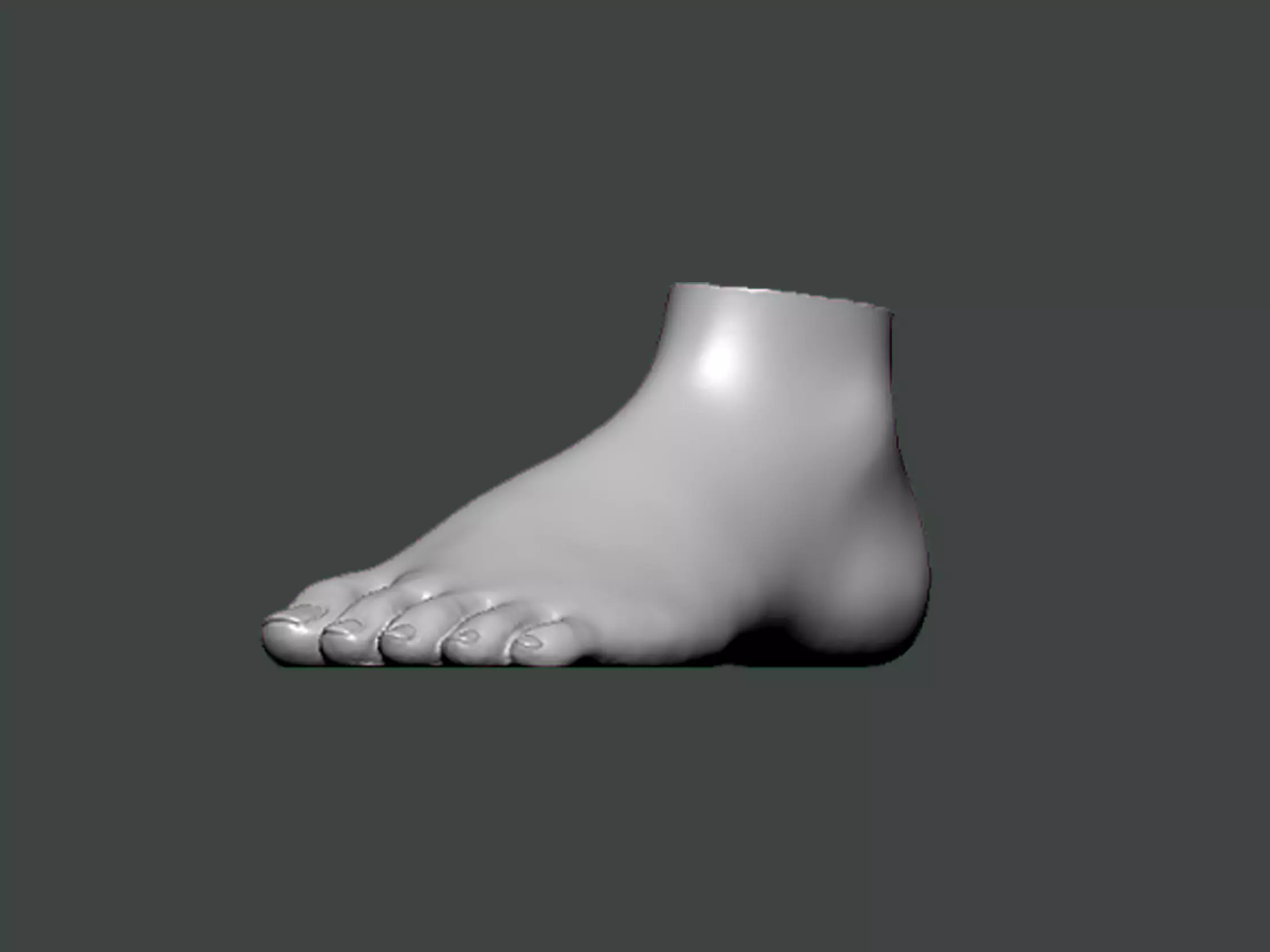 3D Model-FOOT0003 foot 3D print model