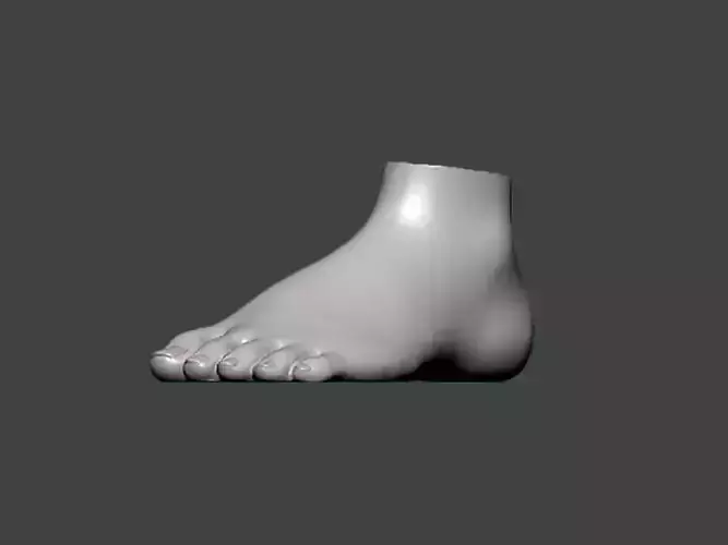 3D Model-FOOT0003 foot