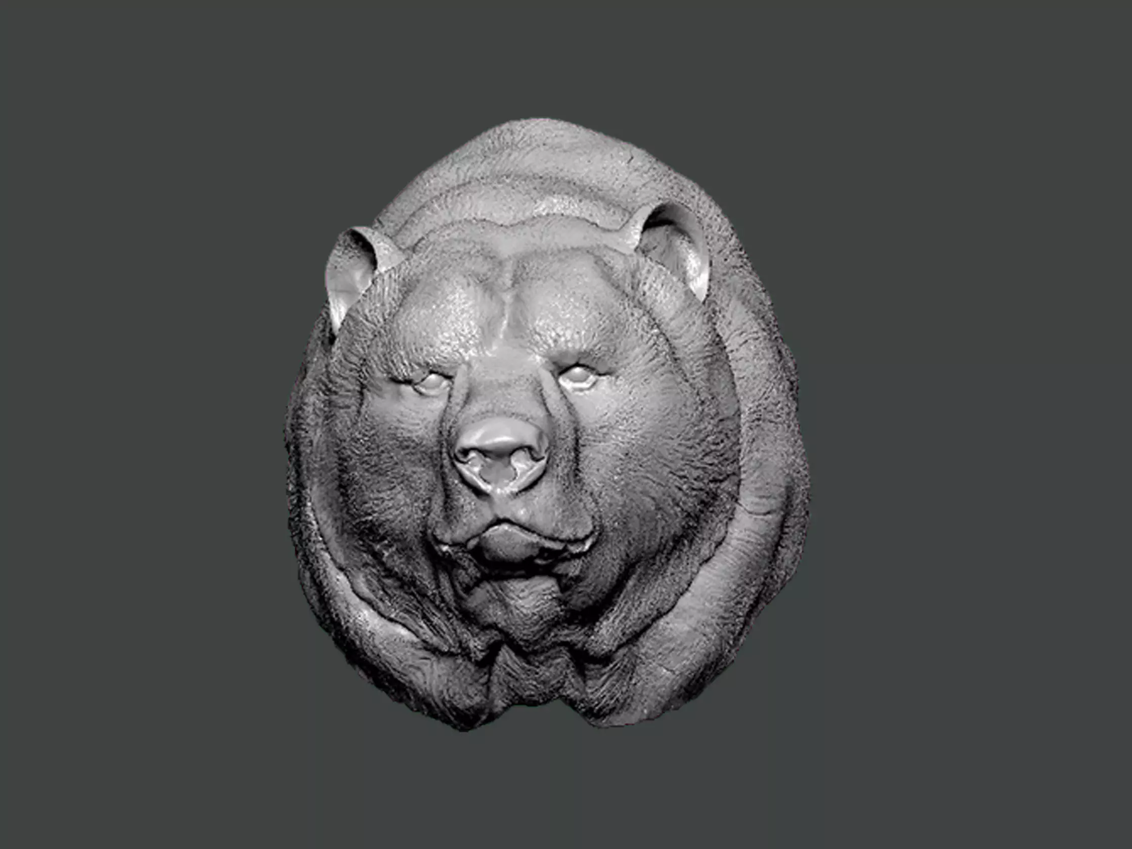 3D Model-ANIMAL0003 bear head 3D print model_0