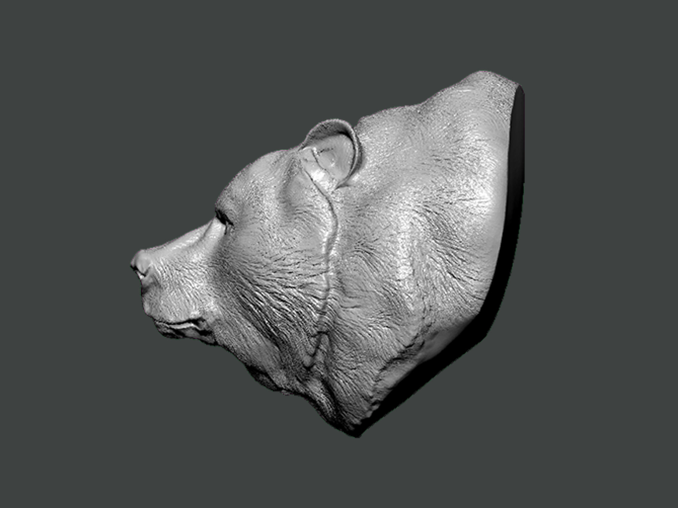 3D Model-ANIMAL0003 bear head 3D print model_2