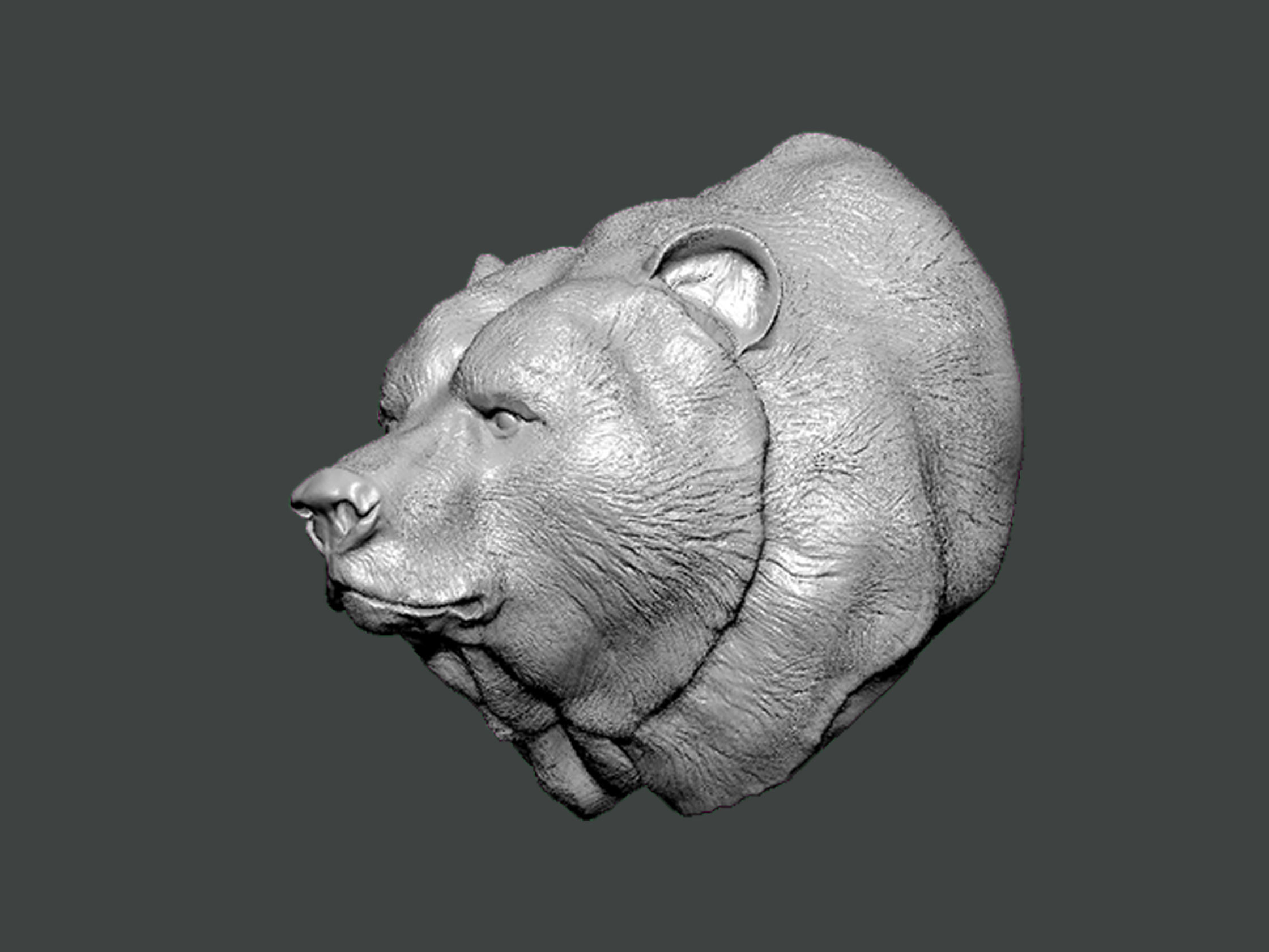 3D Model-ANIMAL0003 bear head 3D print model_1