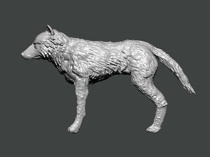3D Model-ANIMAL0005 wolf 3D print model