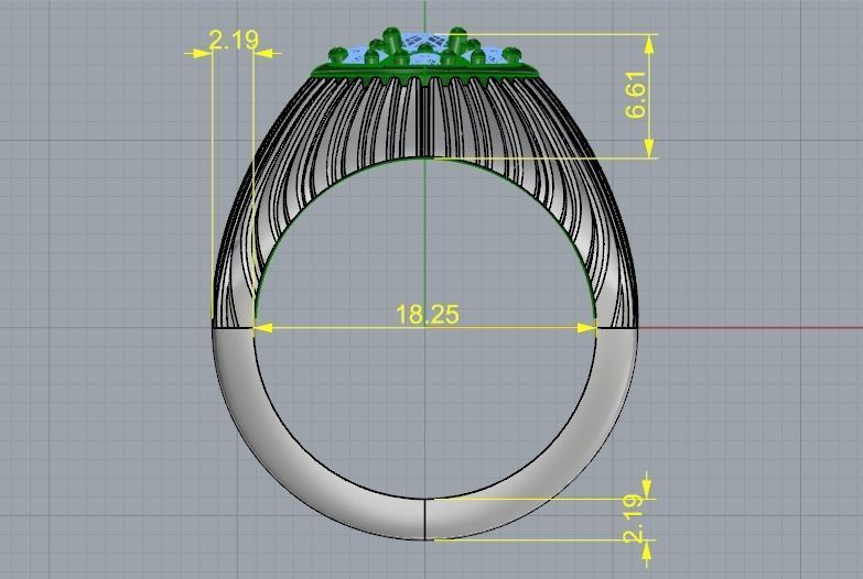 Ring 1066 3D print model_5
