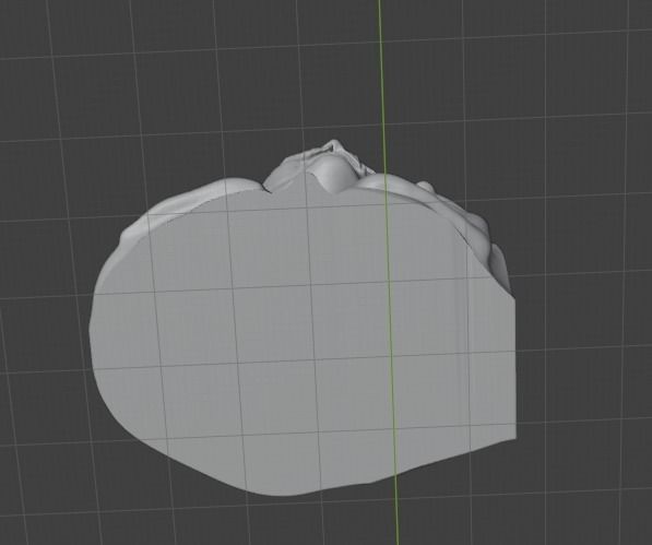 Nestor Makhno 3D print model_4