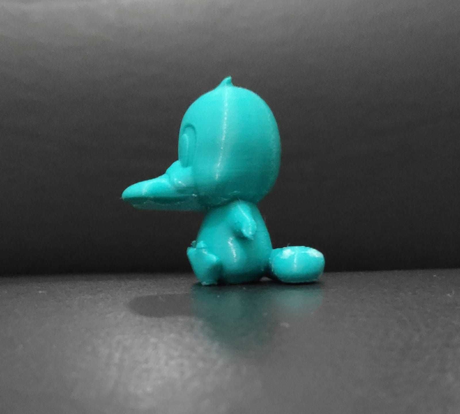Cute Platypus 3D print model_6