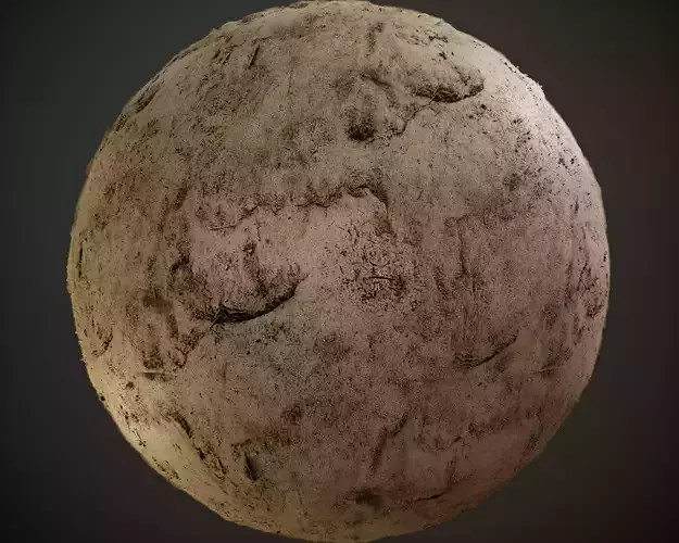 Tileable Muddy Forest PBR Texture