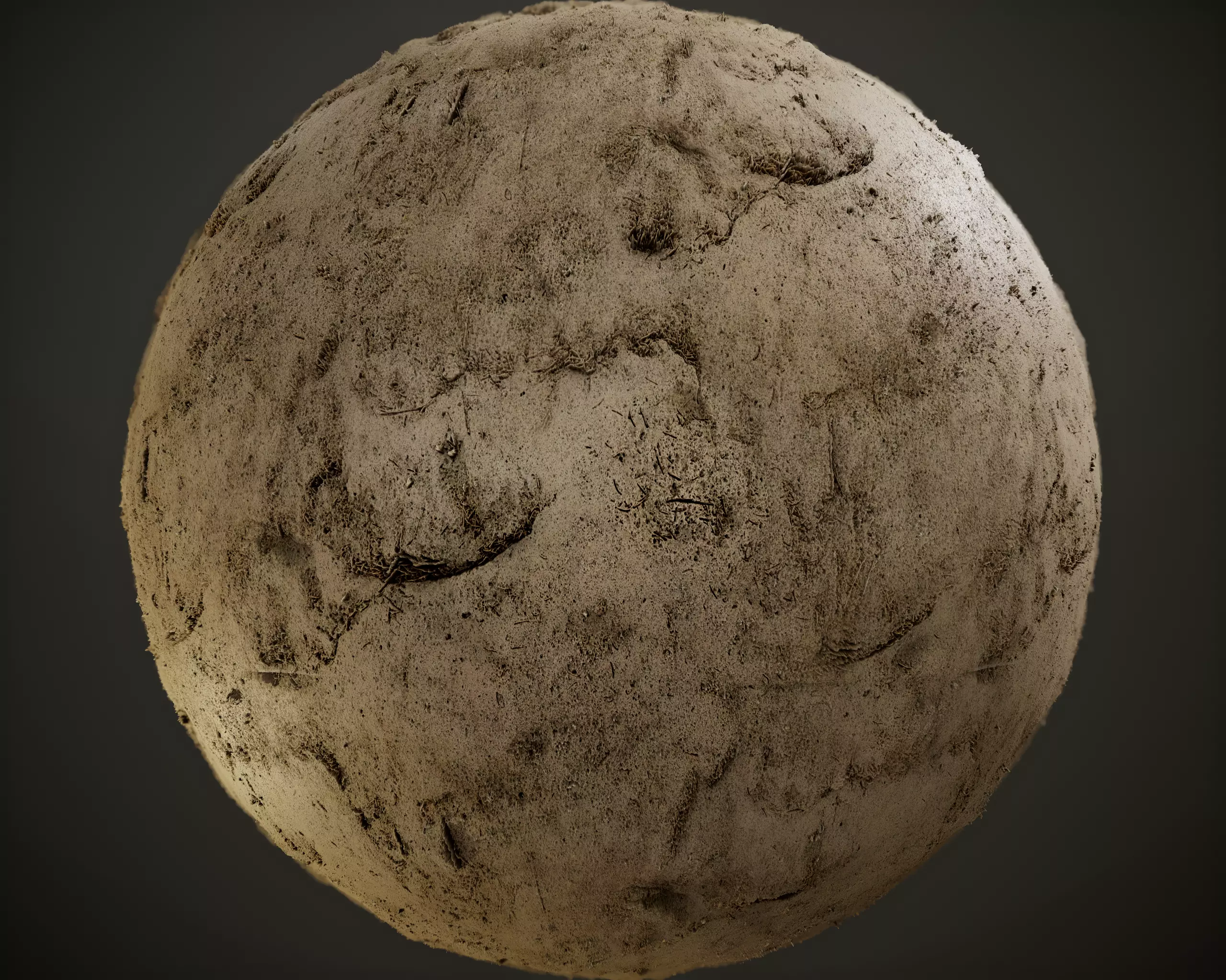 Tileable Muddy Forest PBR Texture Texture_0