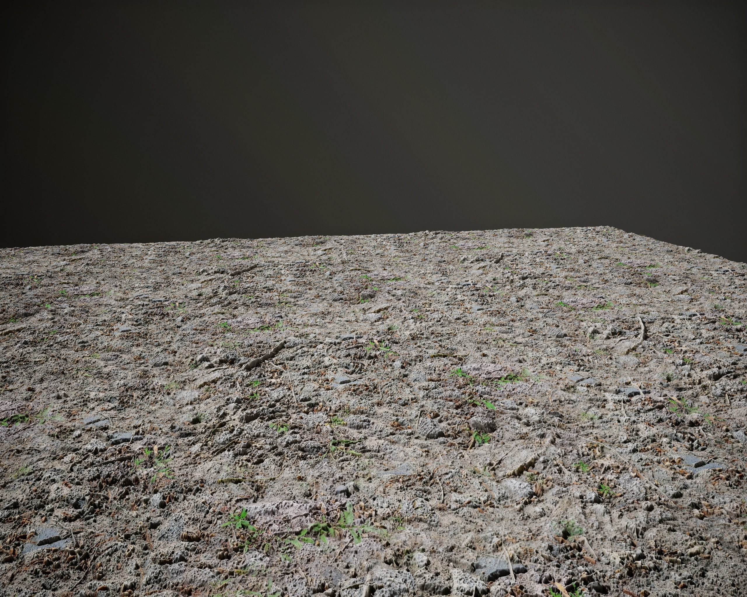 Tileable Forest Dirt PBR Texture Texture_2