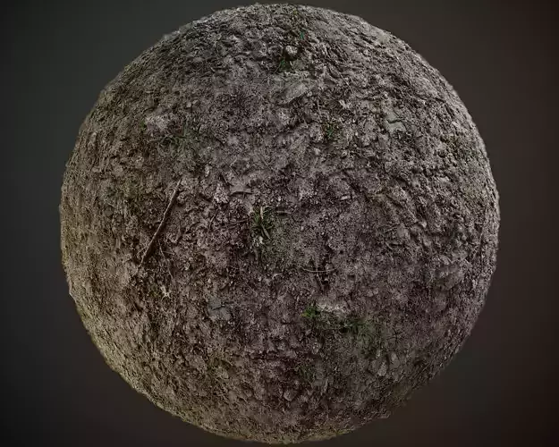 Tileable Forest Dirt PBR Texture