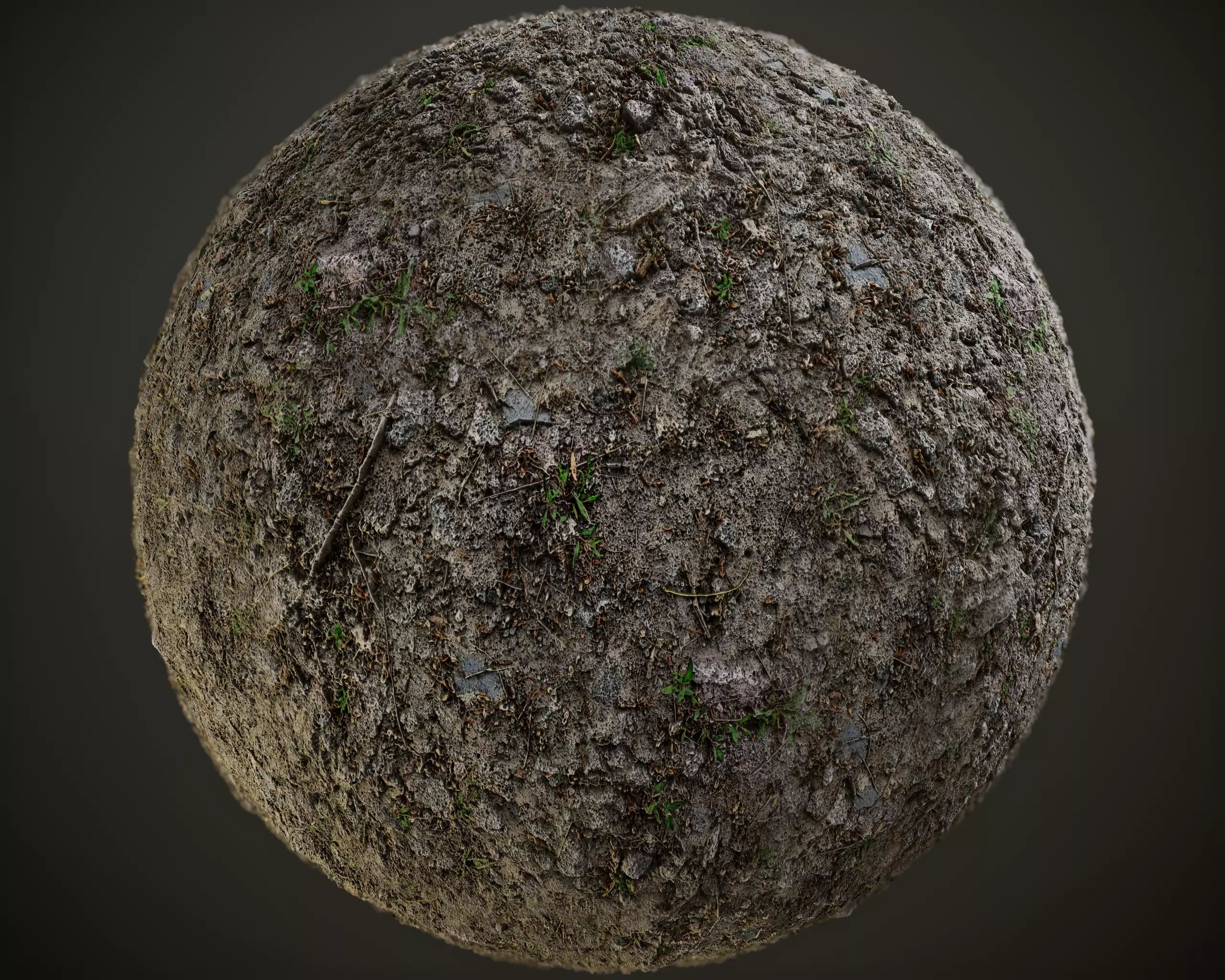 Tileable Forest Dirt PBR Texture Texture_0