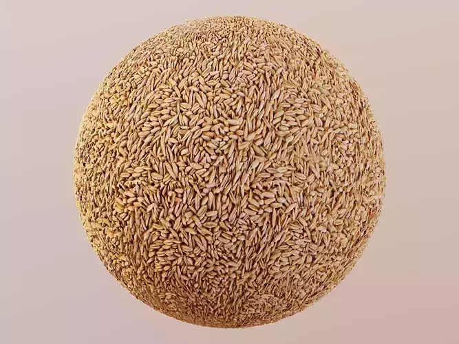 Oat Groats PBR Texture Texture