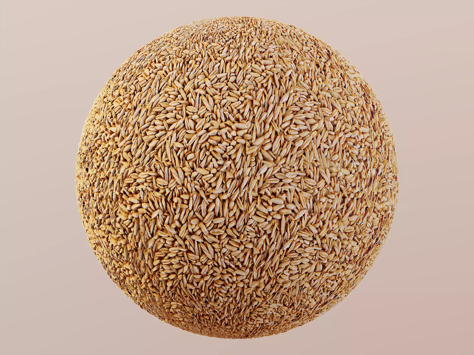 Oat Groats PBR Texture Texture