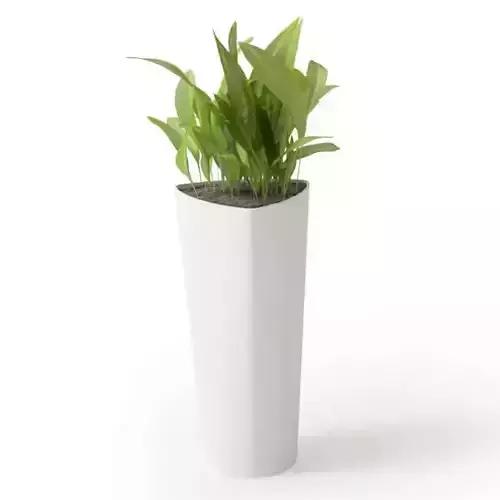 Potted Plant In Tall White Vase