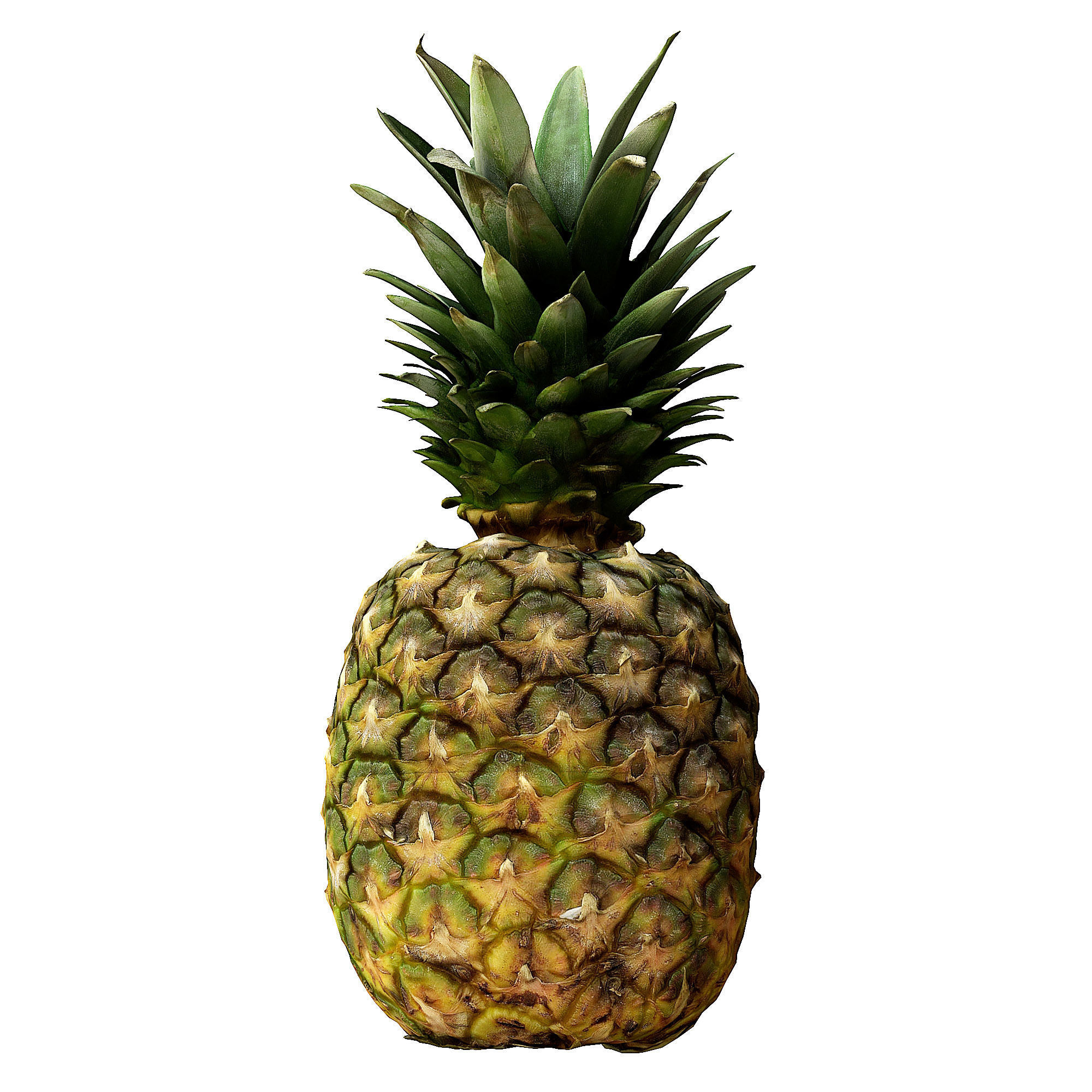 Pineapple PBR Low-poly 3D model_1