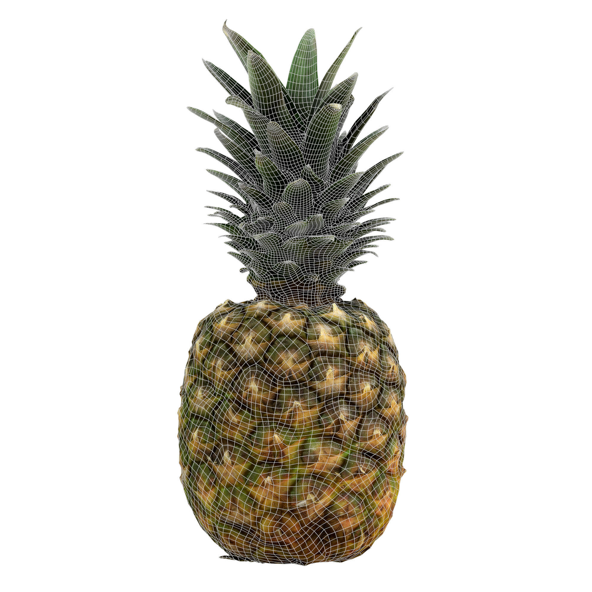 Pineapple PBR Low-poly 3D model_5