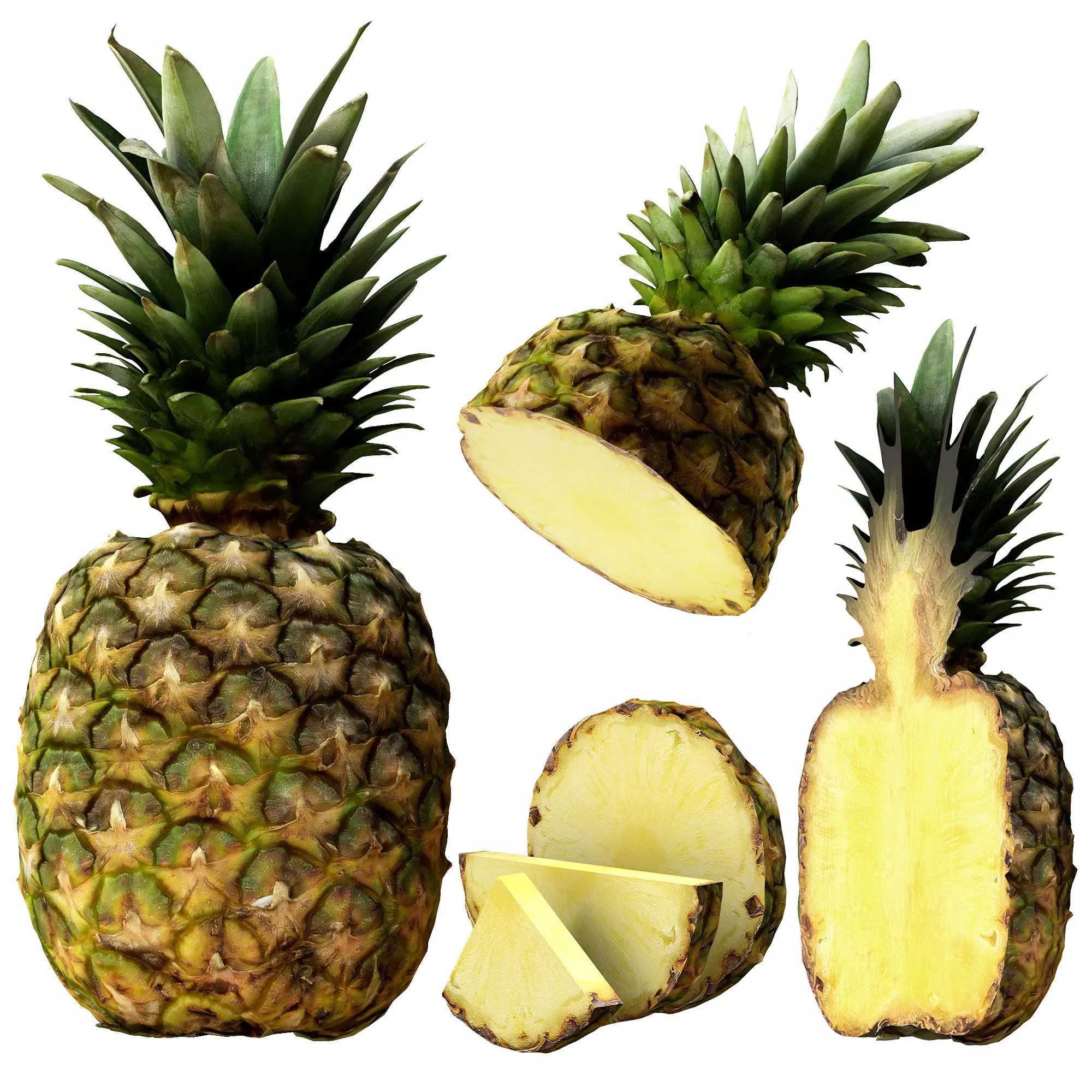 Pineapple PBR Low-poly 3D model_0