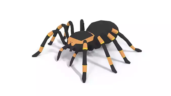 Low Poly Cartoon Tarantula