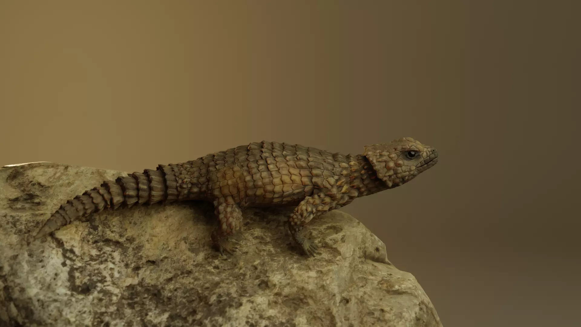 Armadillo Lizard 3D model