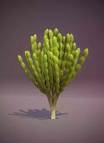 Cartoon Candelabra Tree 3D Model