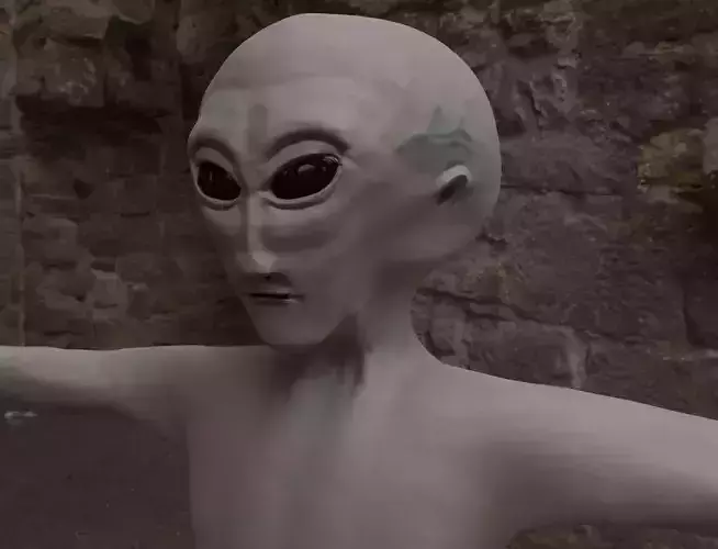Alien Grey Character Low-poly 3D model