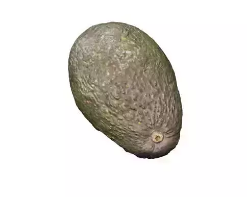 Half Avocado Scan 3D model