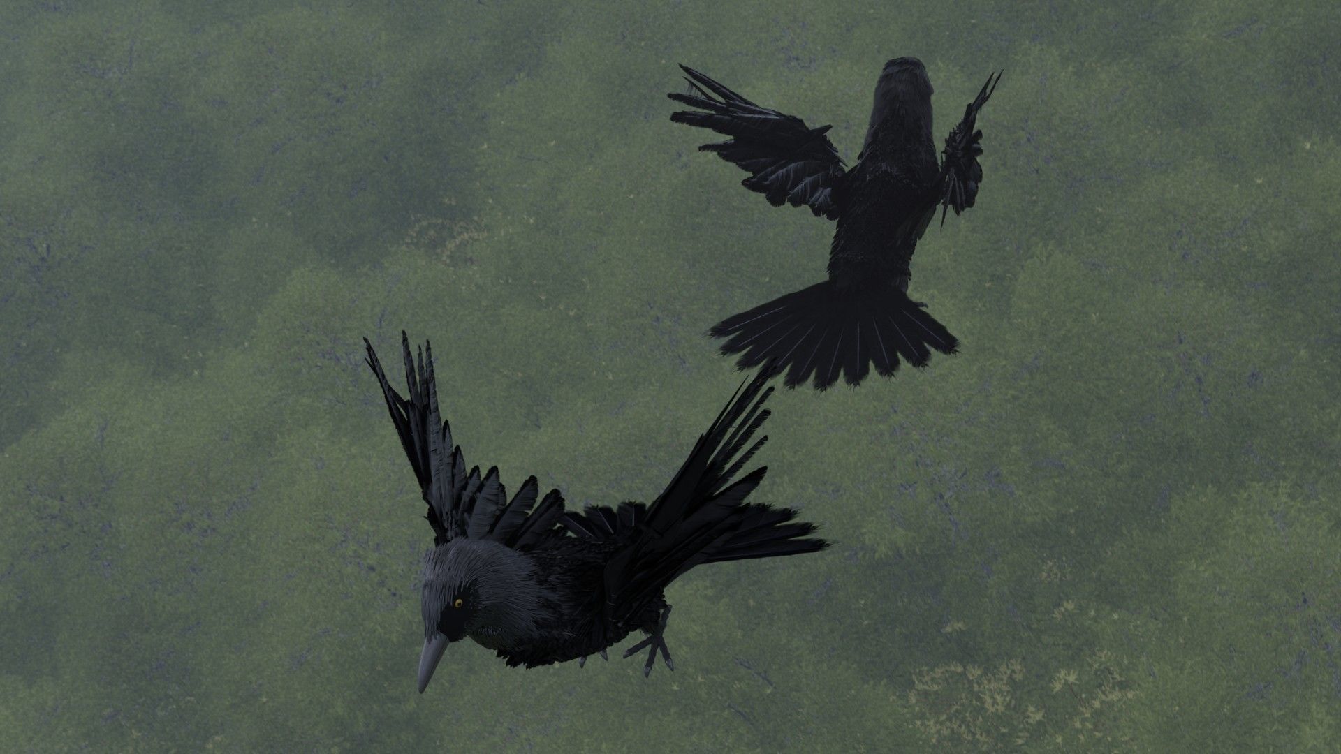 Crow Bird 3D model_7