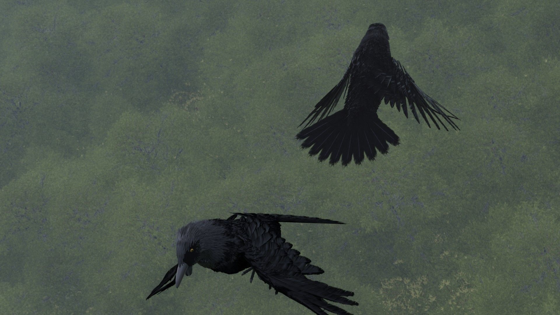 Crow Bird 3D model_6