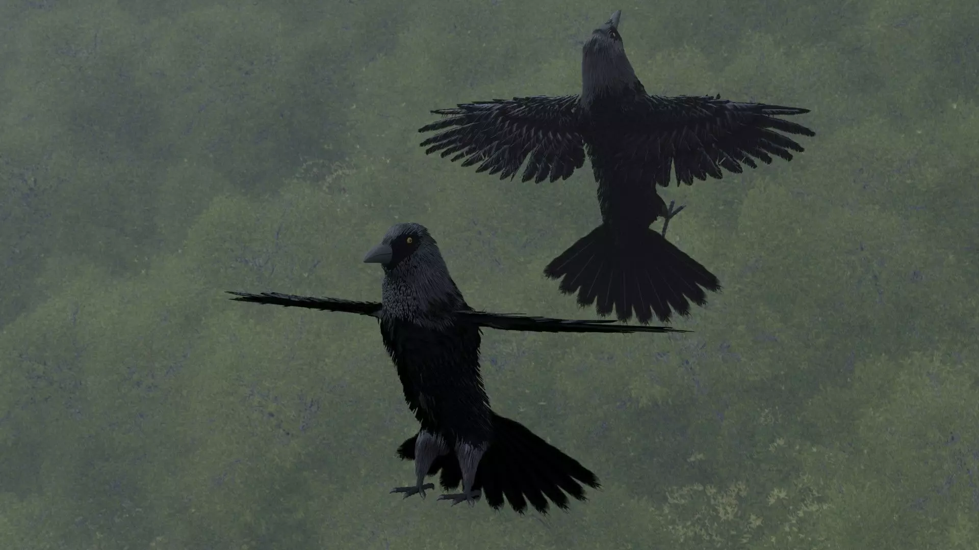 Crow Bird 3D model_0